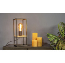 Dekorative Tischlampe mit Edison Glühbirne, Kerzen und Zimmerpflanze auf einer Kommode.