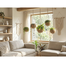 Wohnzimmer mit Sofas und hängenden Pflanzen in Kokosnussschalen.