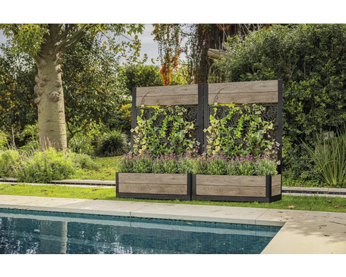 Gartenszene mit zwei Pflanzkästen und Rankgittern neben einem Pool