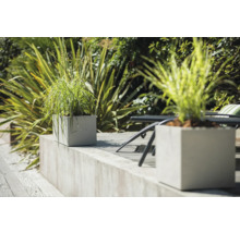 Szene mit quadratischen Pflanzkübeln und Pflanzen im Garten