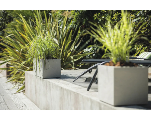 Szene mit quadratischen Pflanzkübeln und Pflanzen im Garten