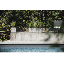 Beton Pflanzkübel mit Bepflanzung neben Pool und Liegestuhl