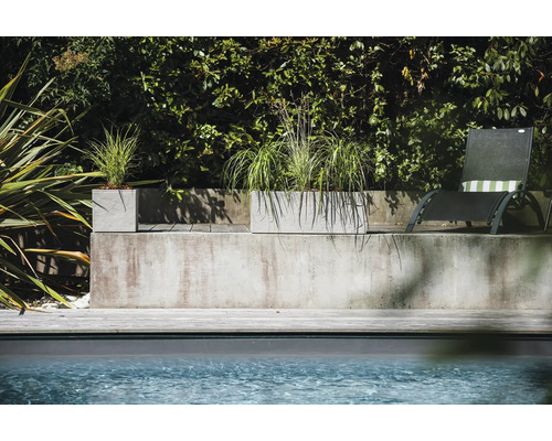 Beton Pflanzkübel mit Bepflanzung neben Pool und Liegestuhl