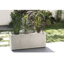 Rechteckiger Pflanzkasten mit verschiedenen Pflanzen im Außenbereich.