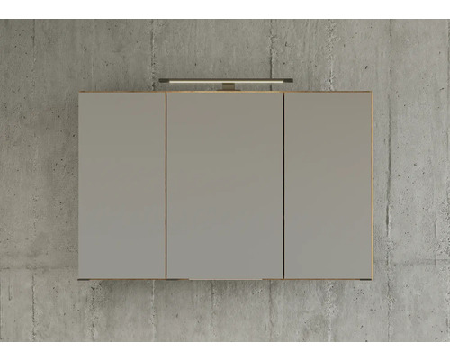 Dreitüriger Spiegelschrank für das Badezimmer mit integrierter LED-Aufsatzleuchte vor einer Wand in Betonoptik.
