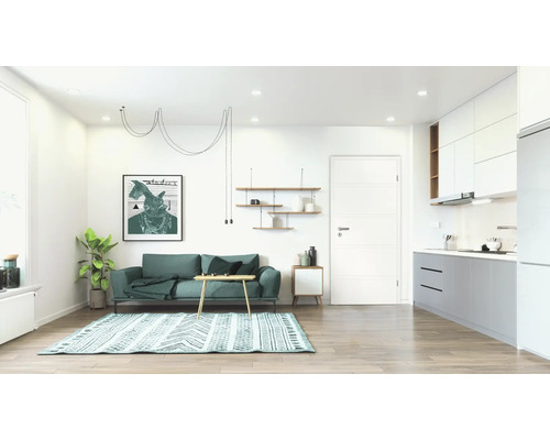 Heller Wohnraum mit Sofa, Teppich, Regalen und Küchenzeile