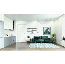 Wohnzimmer mit Sofa, Teppich, Regalen und Küchenzeile in einem hellen und geräumigen Design.