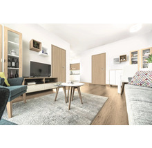 Helles Wohnzimmer mit Tür, Fernseher, Sofa und Teppich