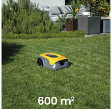 Gelber Mähroboter auf einer Rasenfläche von 600 Quadratmetern
