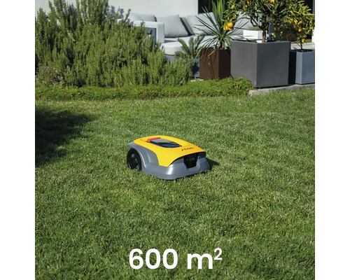 Gelber Mähroboter auf einer Rasenfläche von 600 Quadratmetern