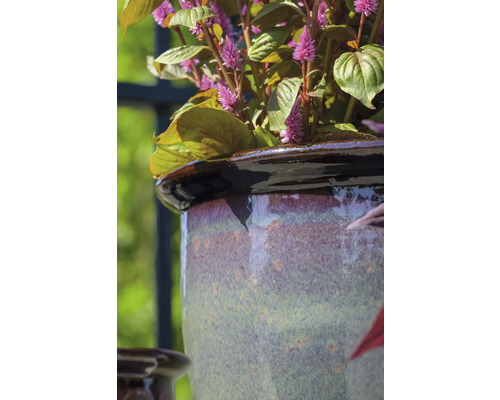 Nahaufnahme einer Pflanze in einem Keramikblumentopf.