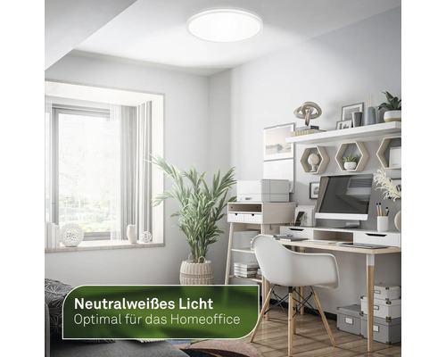 Deckenleuchte im modernen Arbeitszimmer mit Schreibtisch und Dekoration