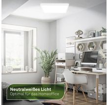 Büro mit Schreibtisch, Stuhl, Regalen und einer LED-Deckenleuchte für neutralweißes Licht