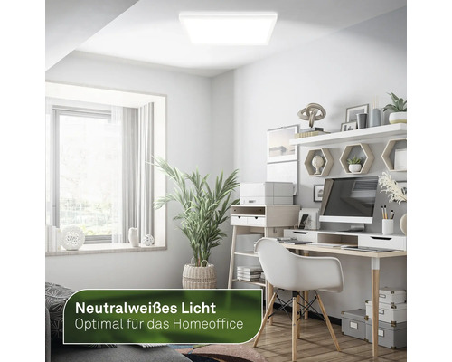 Büro mit Schreibtisch, Stuhl, Regalen und einer LED-Deckenleuchte für neutralweißes Licht