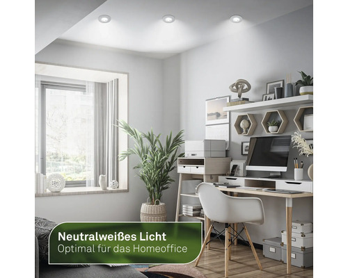 Helles Arbeitszimmer mit Schreibtisch, Regalen und neutralweissen Deckenleuchten