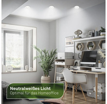 Büroraum mit Schreibtisch, Regalen, Zimmerpflanze und eingebauten LED-Deckenleuchten