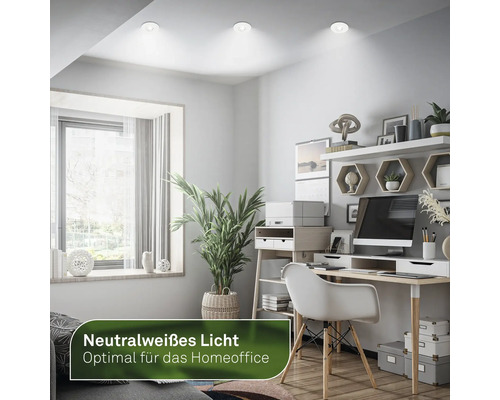 Büroraum mit Schreibtisch, Regalen, Zimmerpflanze und eingebauten LED-Deckenleuchten