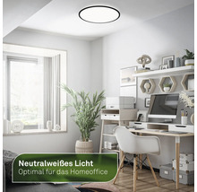 Deckenleuchte in einem Homeoffice mit Schreibtisch, Regalen und Zimmerpflanze.