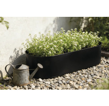 Schwarzer Pflanzkasten mit weiß blühenden Pflanzen und einer Zinkgießkanne im Garten.