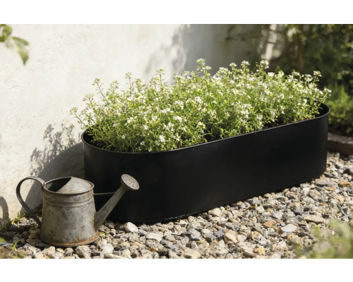 Schwarzer Pflanzkasten mit weiß blühenden Pflanzen und einer Zinkgießkanne im Garten.