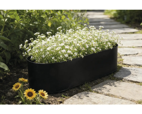 Schwarzer Pflanzkasten mit weißen Blumen auf einem Gartenweg.