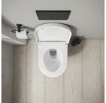 Aufnahme von oben einer Toilette mit offenem Deckel, Spültaste und Toilettenpapierhalter