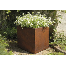 Blumenkasten aus Stahl mit weißen Blüten