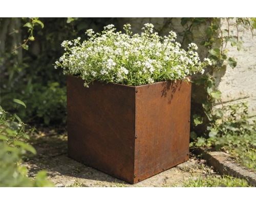 Blumenkasten aus Stahl mit weißen Blüten