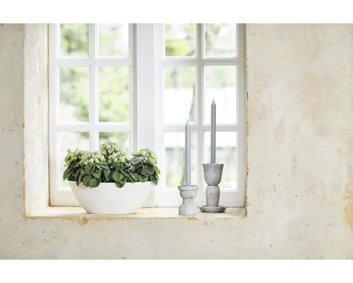 Fensterbrettdekoration mit Topfpflanze und Kerzenständern mit Kerzen