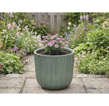 Blumentopf mit Nelken auf einem Gartenweg