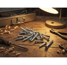 Werkstattsszene mit Schrauben, Schraubenzieher, Zange, Hobelspänen, Werkzeugkiste und Lampe auf einem Holztisch