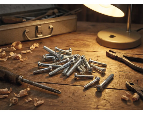 Werkstattsszene mit Schrauben, Schraubenzieher, Zange, Hobelspänen, Werkzeugkiste und Lampe auf einem Holztisch