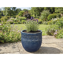 Lavendel in einem dekorativen Blumentopf im Garten