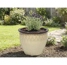 Keramik Pflanztopf mit Lavendel im Garten