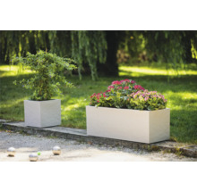 Zwei bepflanzte, würfelförmige Pflanzkübel im Garten