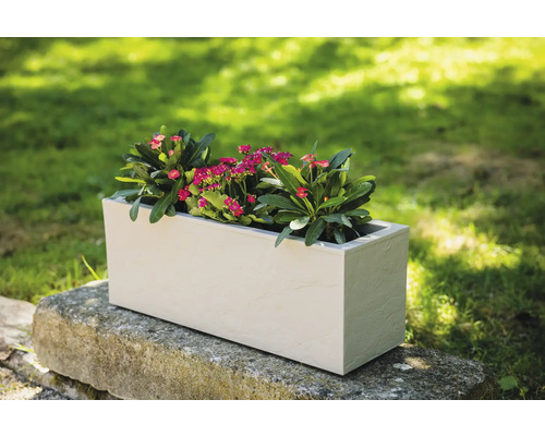 Rechteckiger Pflanzkasten aus Kunststoff mit Blumen auf Steinmauer