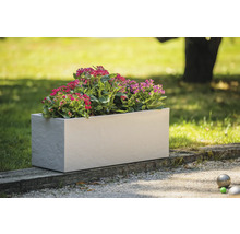 Rechteckiger Pflanzkasten mit blühenden Pflanzen im Garten.