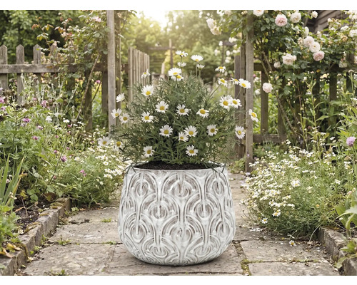 Gänseblümchen in einem verzierten Pflanzgefäß auf einem Gartenweg