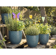 Blumentöpfe mit Kräutern und dekorativen Gartensteckern auf einer Gartentreppe