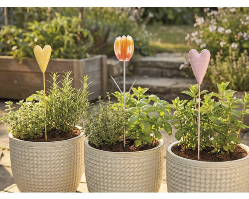 Drei Blumentöpfe mit Kräutern und Beetsteckern im Garten