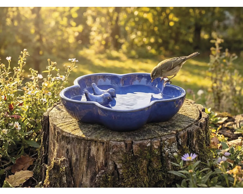 Vogeltränke aus Keramik mit Vogelmotiv auf Baumstumpf im Garten