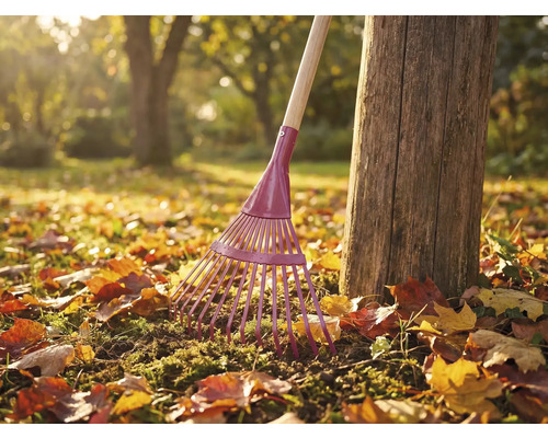 Gartenrechen aus Metall mit Holzstiel neben Baumstamm im Garten