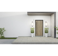 Eingangsbereich eines Hauses mit Haustür, Außenleuchten und Pflanzenkübeln