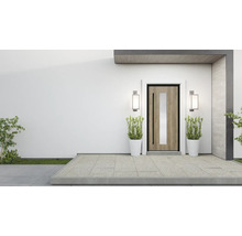 Moderne Haustür mit Glaseinsatz, flankiert von Pflanzen in Töpfen und Außenleuchten