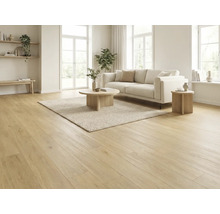 Heller Wohnraum mit Holzboden, Sofa, Teppich und Beistelltischen