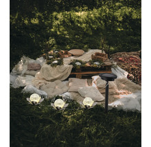 Dekorativer Outdoor-Bereich mit Solarlampen, Kissen und rustikalem Holztisch