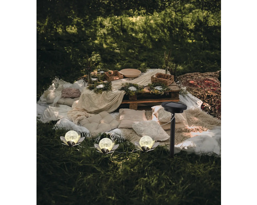 Dekorativer Outdoor-Bereich mit Solarlampen, Kissen und rustikalem Holztisch