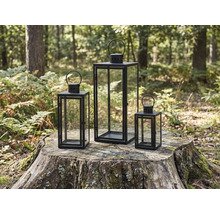 Drei Windlichter aus Metall und Glas auf einem Baumstumpf im Wald