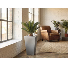 Szene eines Wohnraumes mit einem Zylinderförmigen Pflanzgefäß inklusive Pflanze, Sessel und Teppich.