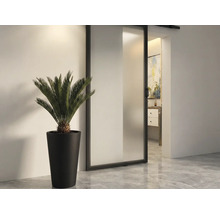 Zimmeransicht mit Schiebetür, Topfpflanze und Blick in ein Badezimmer